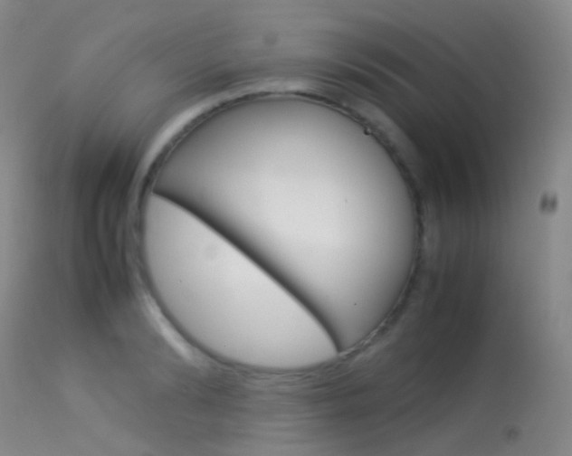 X0000113540894200909181020