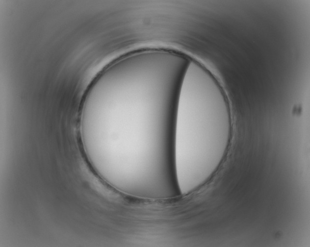 X0000113540895200909181020