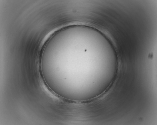 X0000113540896200909181020