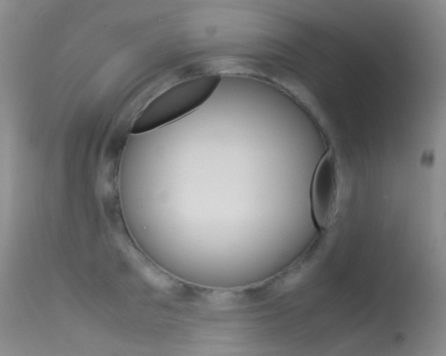 X0000113540897200909181020