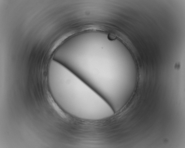 X0000113540898200909181020