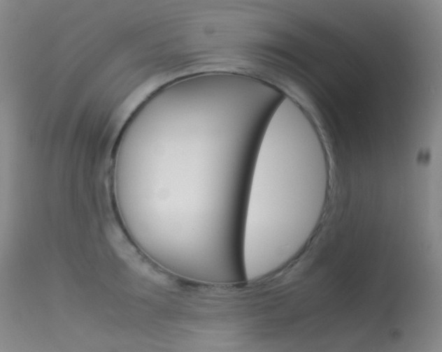 X0000113540899200909181020