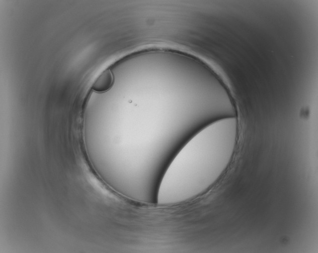 X0000113540903200909181020