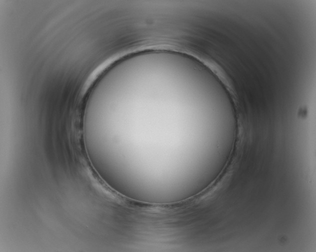 X0000113540904200909181020