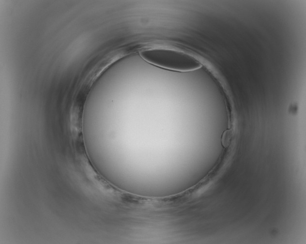 X0000113540905200909181020