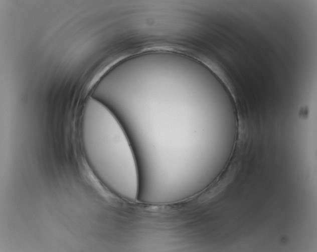 X0000113540906200909181020