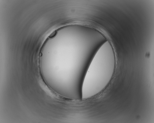 X0000113540907200909181020