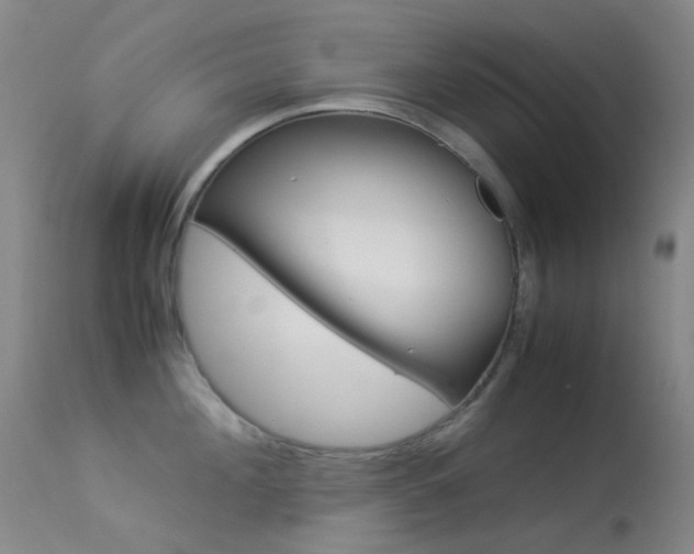 X0000113540908200909181020