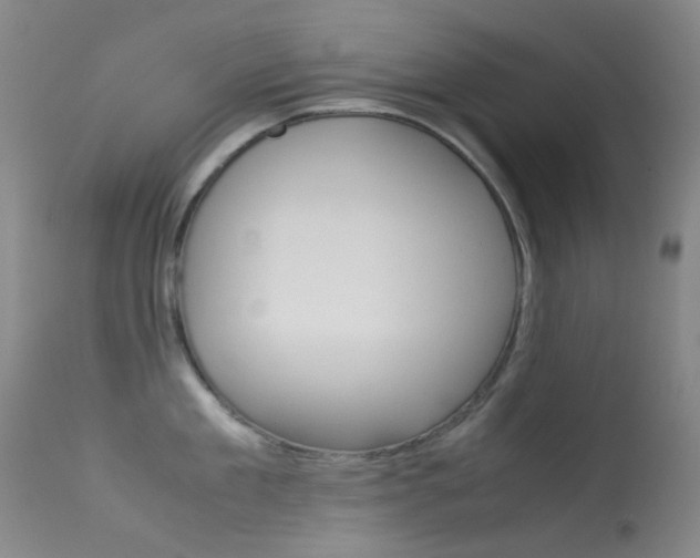 X0000113540909200909181020