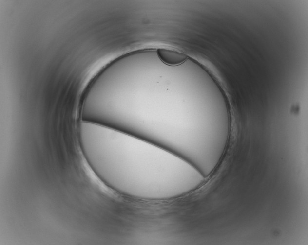 X0000113540910200909181020
