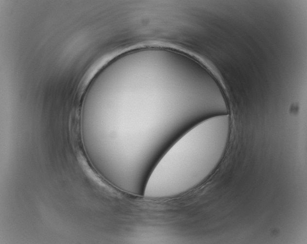 X0000113540911200909181020