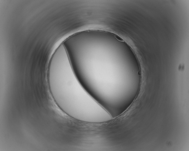 X0000113540912200909181020