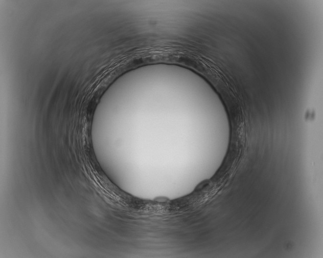 X0000113540914200909181020