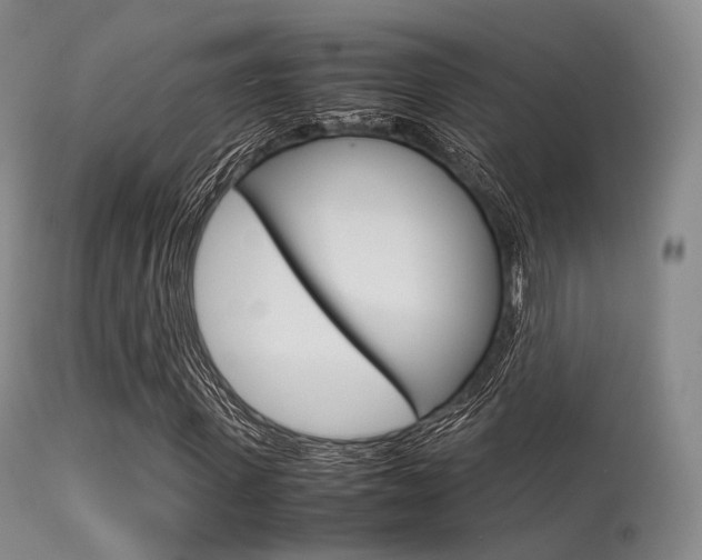 X0000113540915200909181020