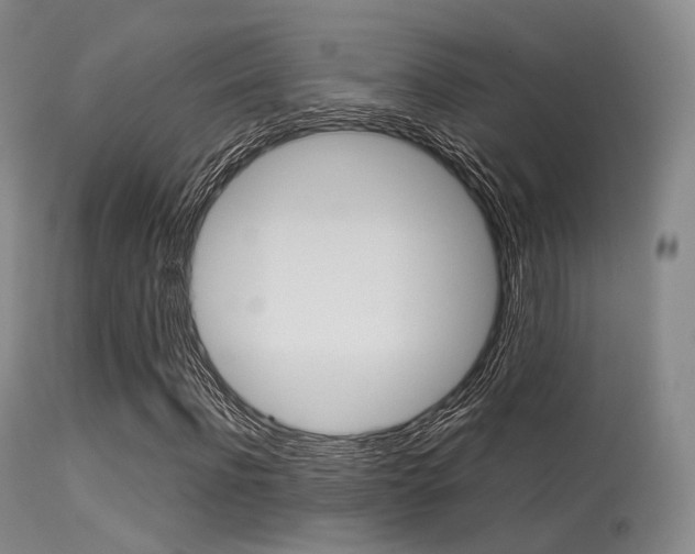 X0000113540916200909181020