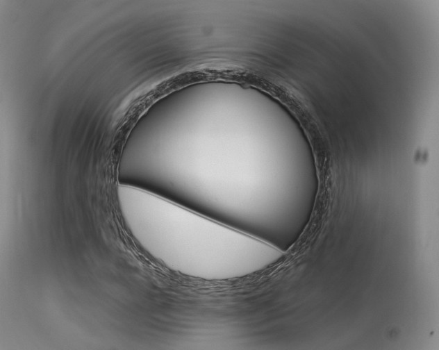 X0000113540920200909181020