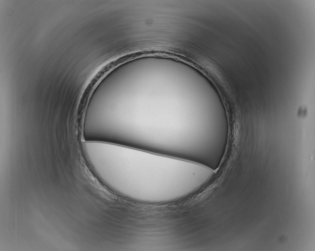 X0000113540924200909181020