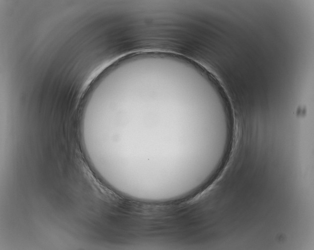 X0000113540925200909181020
