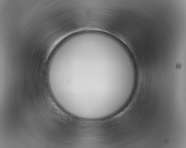 X0000113540926200909181020