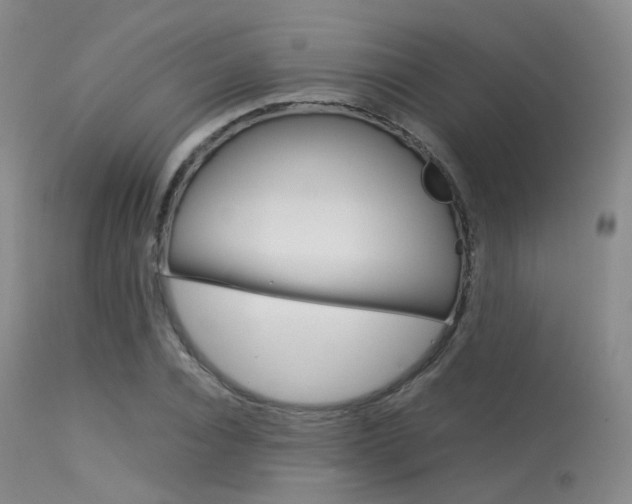 X0000113540928200909181020