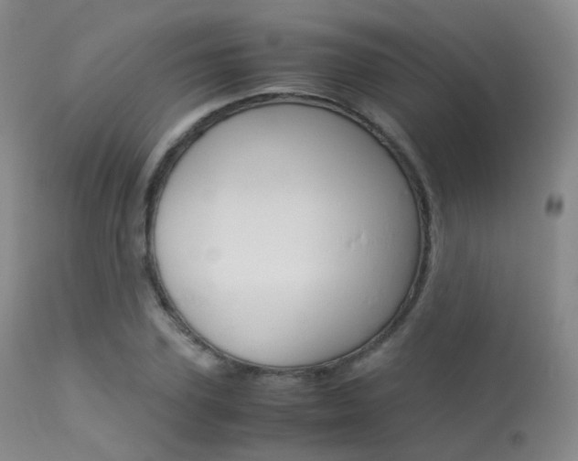 X0000113540931200909181020