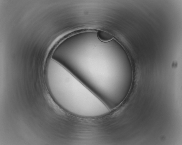 X0000113540932200909181020