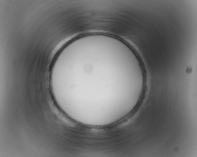 X0000113540933200909181020