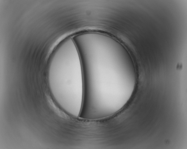 X0000113540934200909181020