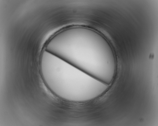 X0000113540935200909181020