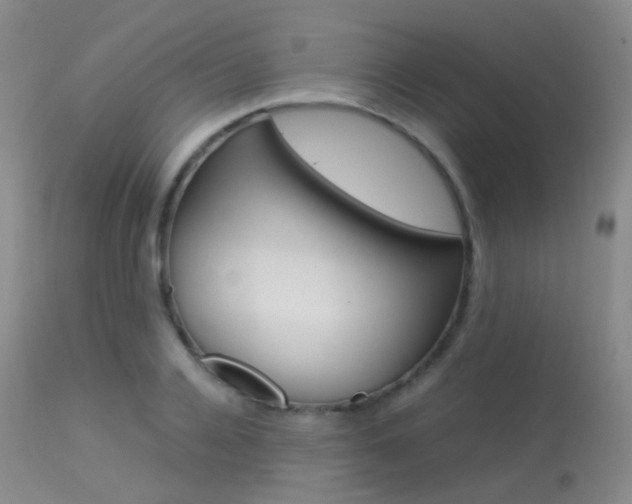 X0000113540936200909181020