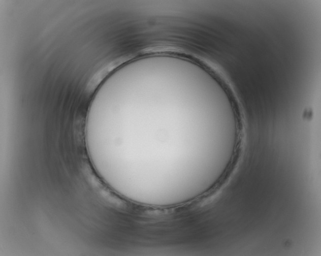 X0000113540937200909181020