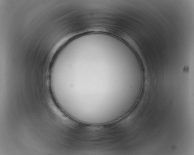 X0000113540939200909181020