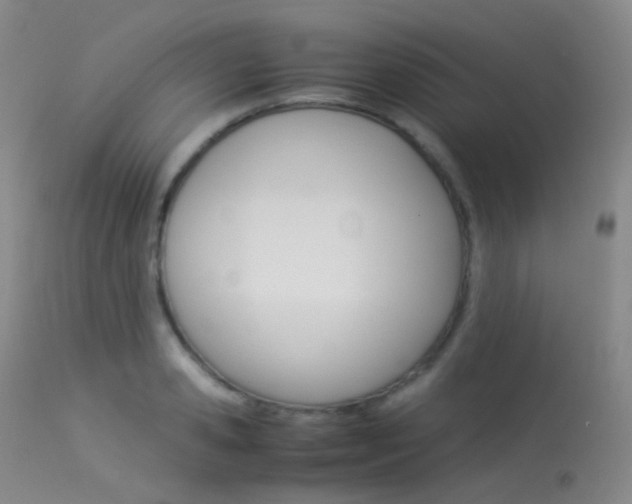X0000113540941200909181020