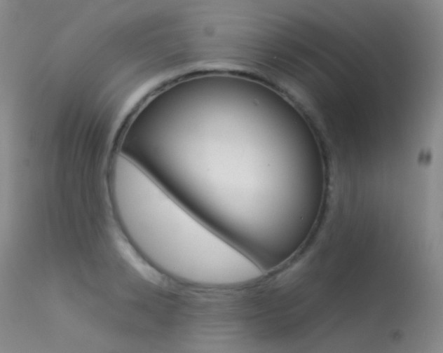 X0000113540942200909181020