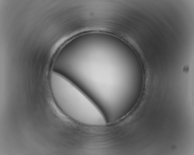 X0000113540944200909181020