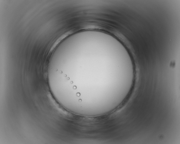 X0000113540945200909181020
