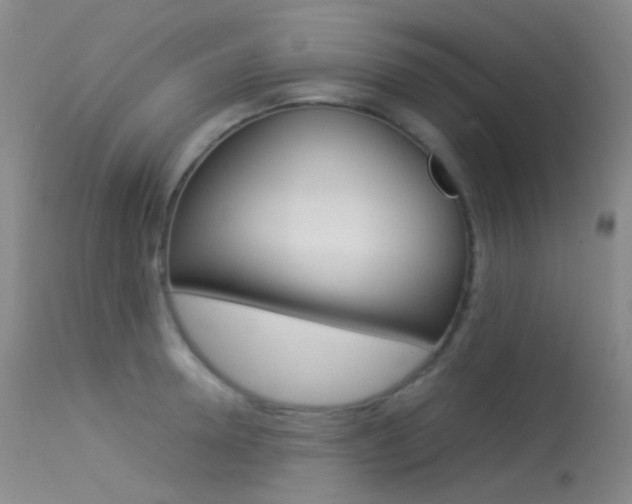X0000113540946200909181020