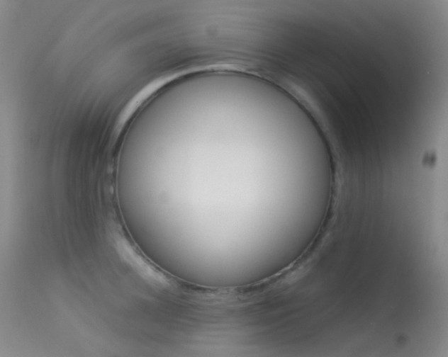 X0000113540948200909181020