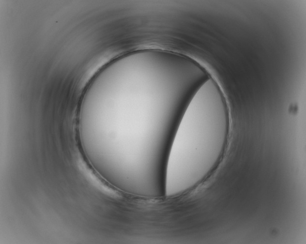 X0000113540949200909181020