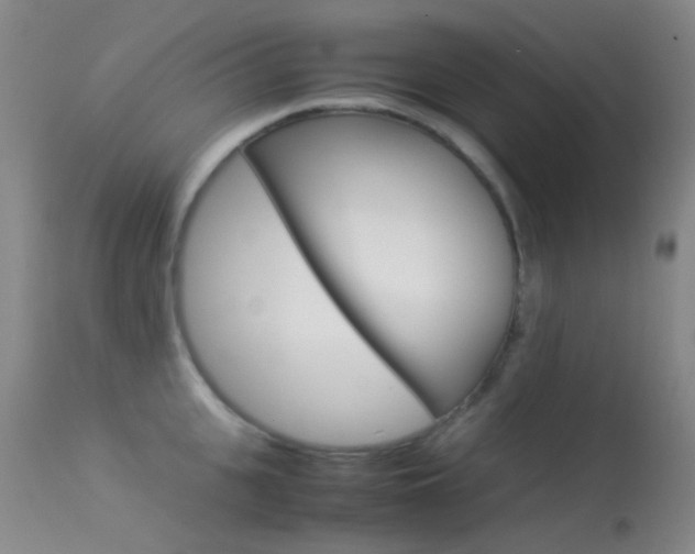 X0000113540951200909181020