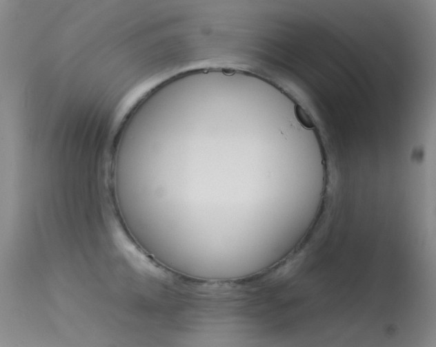 X0000113540952200909181020