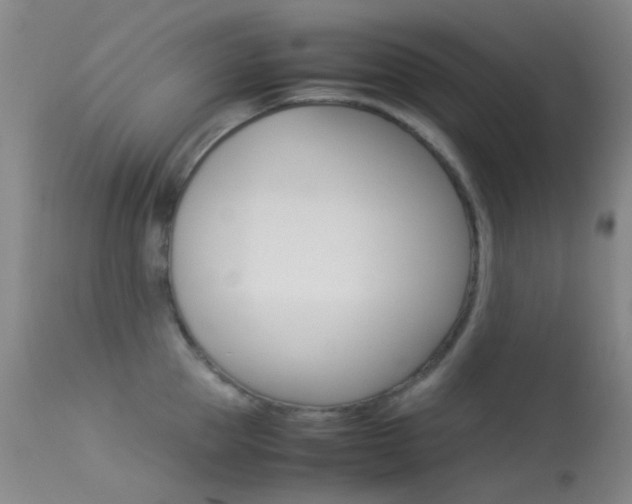X0000113540953200909181020
