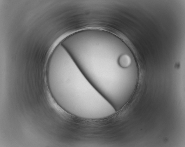 X0000113540955200909181020