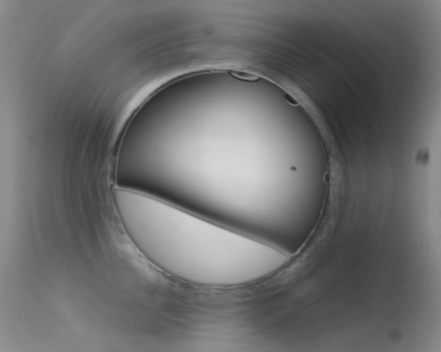 X0000113540956200909181020