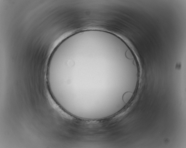 X0000113540957200909181020
