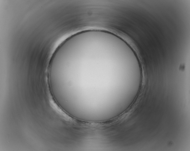 X0000113540958200909181020