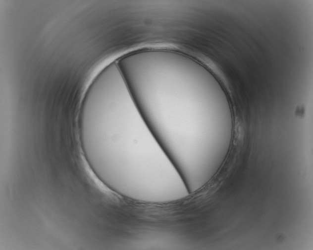 X0000113540959200909181020