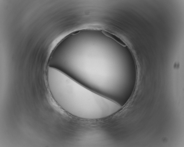 X0000113540960200909181020