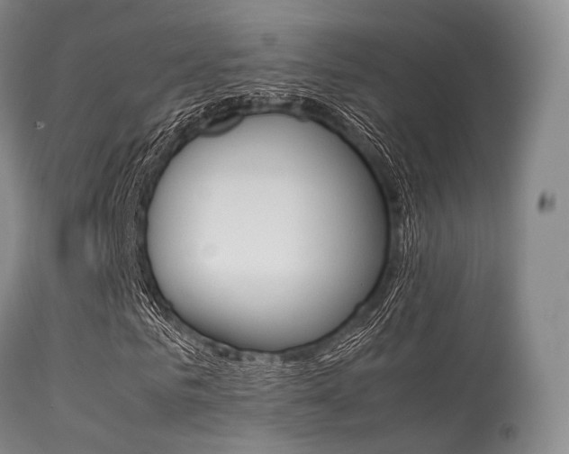 X0000113540961200909181020