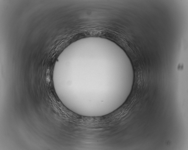 X0000113540962200909181020